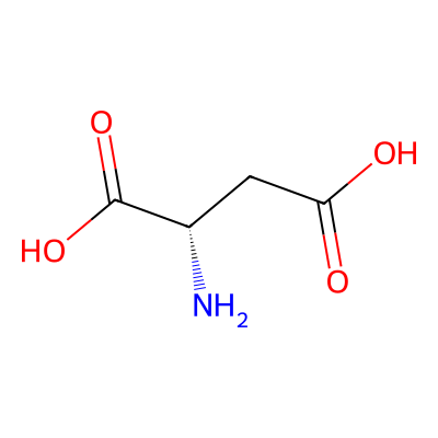 Chemical structure of L-aspartic acid